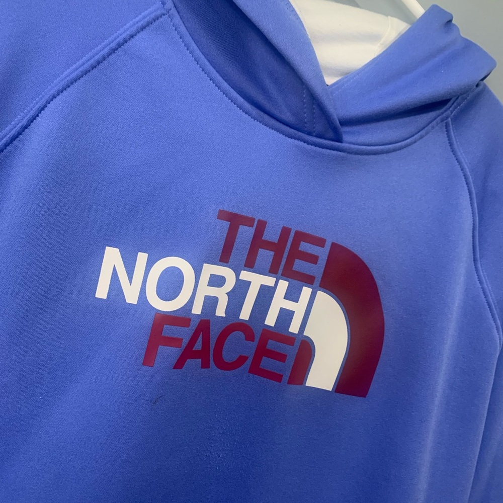 purple/blueish north face hoodie